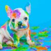 Colorful Dog Animals Paint By Numbers