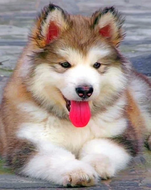 Finalized Brown Husky Puppies painting