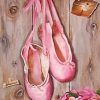 Ballet Shoes Pink Art Paint By Numbers