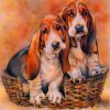 Basset Hound Pet Paint By Numbers