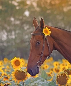 Brown Stallion and Sunflowers Paint By Numbers