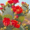 Red Cactus Flower Paint By Numbers