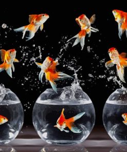 Golden Fishes Paint By Numbers
