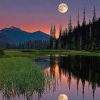 Moonlit Nature Scene Paint By Numbers