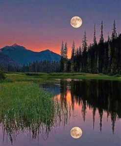 Moonlit Nature Scene Paint By Numbers