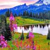 Mount Rainier Scenic Landscape Paint By Numbers