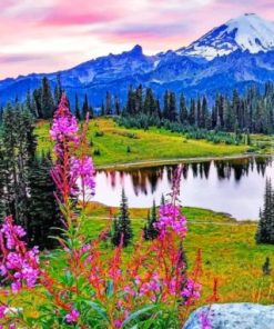 Mount Rainier Scenic Landscape Paint By Numbers
