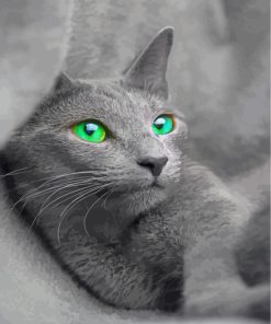 Russian Blue Cat Animal Paint By Numbers
