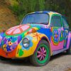 Colorful Beetle Car Paint By Numbers