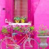Bicycle Scene in Pink Burano Paint By Numbers