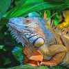 Colorful Iguana Art Paint By Numbers