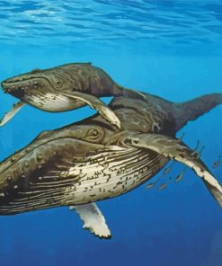 Majestic Big Whales Paint By Numbers