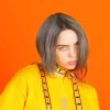 Billie Eilish Orange Portrait Paint By Numbers