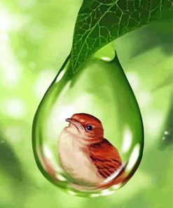 Water Drop Bird Paint By Numbers