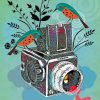 Birds and Cameras Theme Paint By Numbers