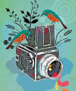 Birds and Cameras Theme Paint By Numbers