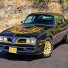1977 Pontiac Firebird Paint By Numbers