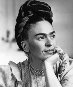 Frida Kahlo Monochrome Masterpiece Paint By Numbers