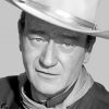 John Wayne Cowboy Legend Paint By Numbers