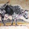 Nguni Cattle Paint By Numbers