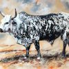 Nguni Cattle Paint By Numbers