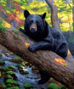 Modern Black Bear Paint By Numbers