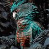 Black Cockatoo Bird Paint By Numbers