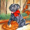 Black Dog Animal Paint By Numbers
