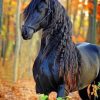 Friesian Horse Masterpiece Paint By Numbers