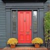 Black House with Red Door Paint By Numbers