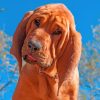 Bloodhound Pet Paint By Numbers