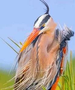 Blue Heron Bird Paint By Numbers
