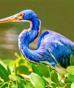 Blue Heron Wildlife Paint By Numbers