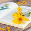 Beautiful Yellow Flower Book Paint By Numbers
