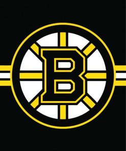 Boston Bruins Ice Hockey Paint By Numbers
