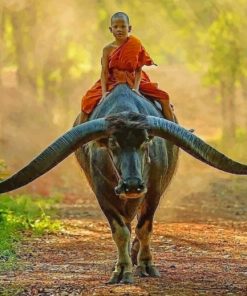 Boy Monk and Buffalo Paint By Numbers