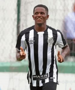 Renyer Brazilian Football Paint By Numbers