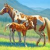 Brown Horse Foal Paint By Numbers