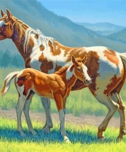 Brown Horse Foal Paint By Numbers