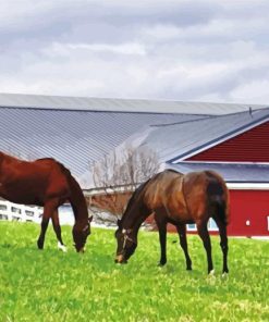 Brown Horses Country Scene Paint By Numbers