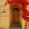 Wooden Door with Red Blooms Paint By Numbers