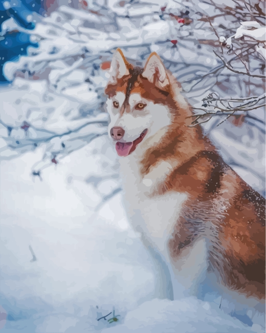 Brown Husky Winter Scene Paint By Numbers Step 3