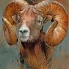 Bighorn Sheep Ram Paint By Numbers