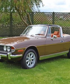 Triumph Stag Classics Paint By Numbers