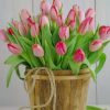 Pink Tulips Bouquet Paint By Numbers