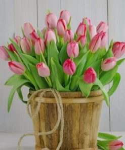 Pink Tulips Bouquet Paint By Numbers