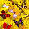 Yellow Butterflies and Flowers Paint By Numbers