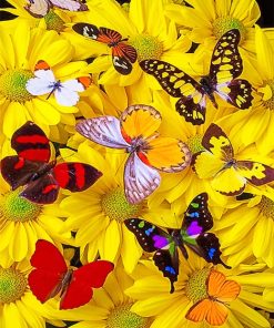 Yellow Butterflies and Flowers Paint By Numbers