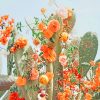 Colorful Cactus Nature Paint By Numbers