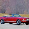Ford Shelby GT500 Red Car Paint By Numbers